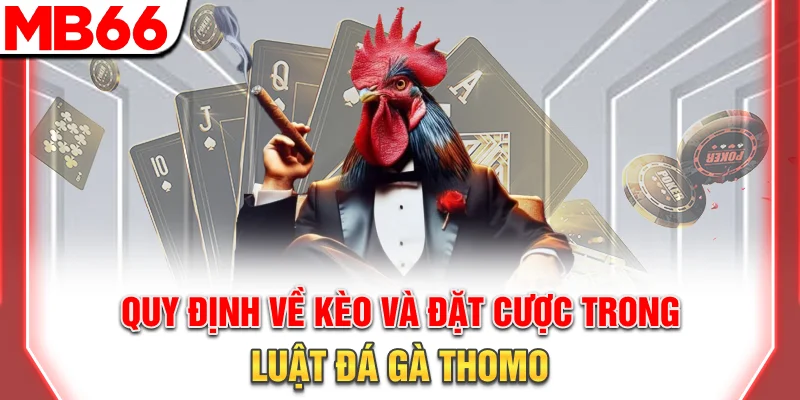 Luật Đá Gà Thomo Chi Tiết Cho Người Mới Cực Đơn Giản 8 Quy định về kèo và đặt cược trong luật đá gà Thomo